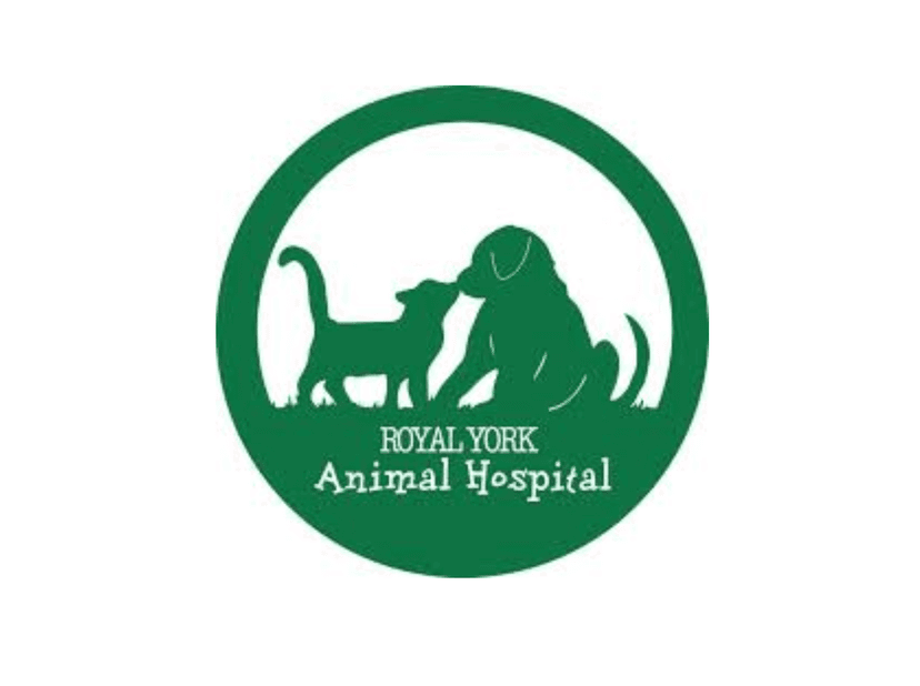 Royal York Animal Clinic