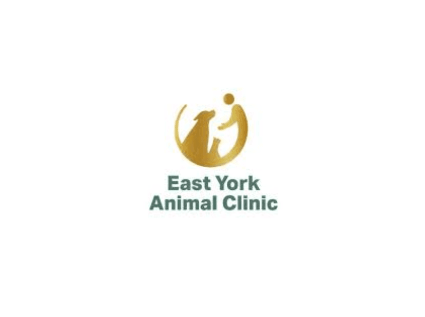 East York Veterinary