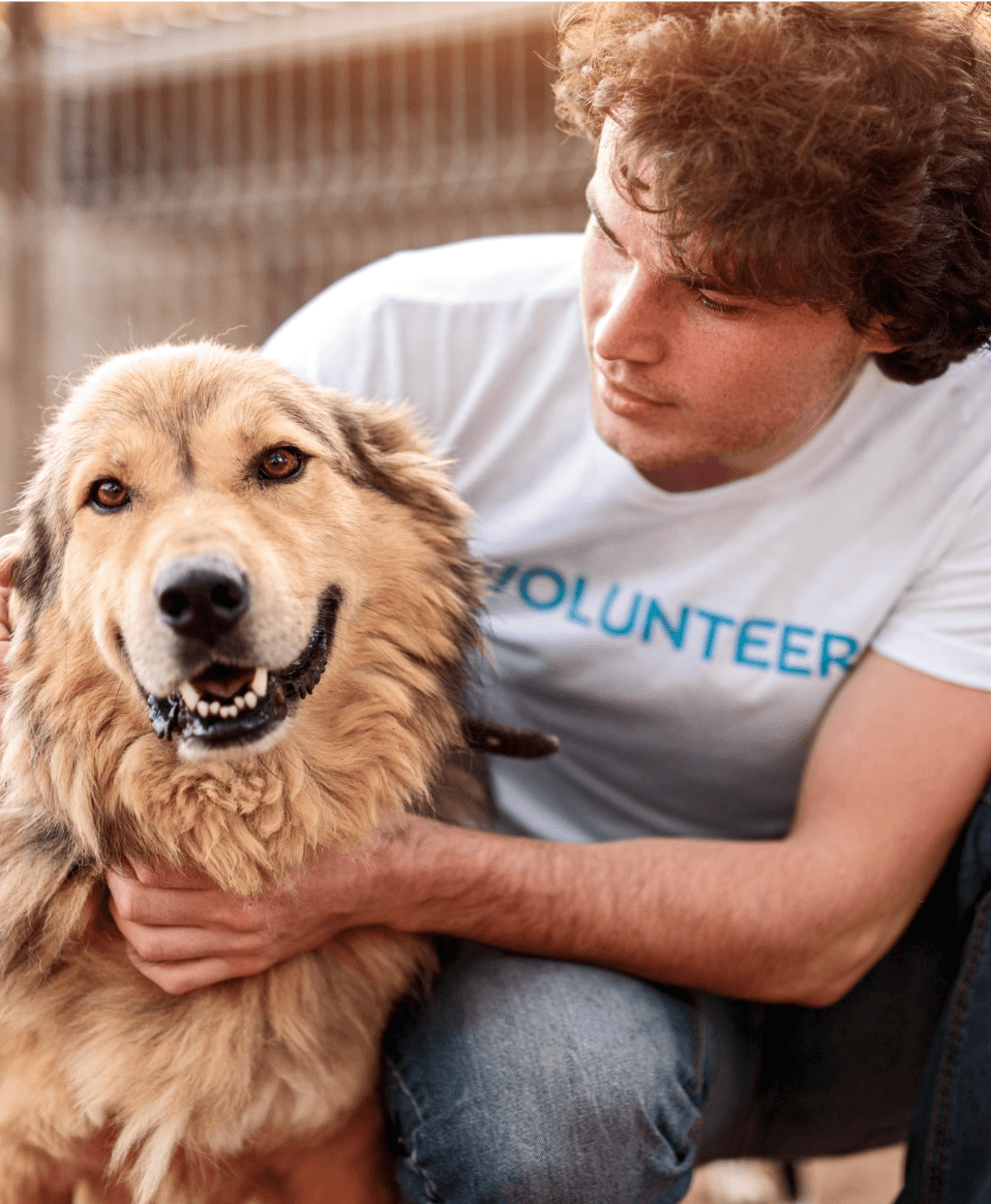 Volunteer helping dog