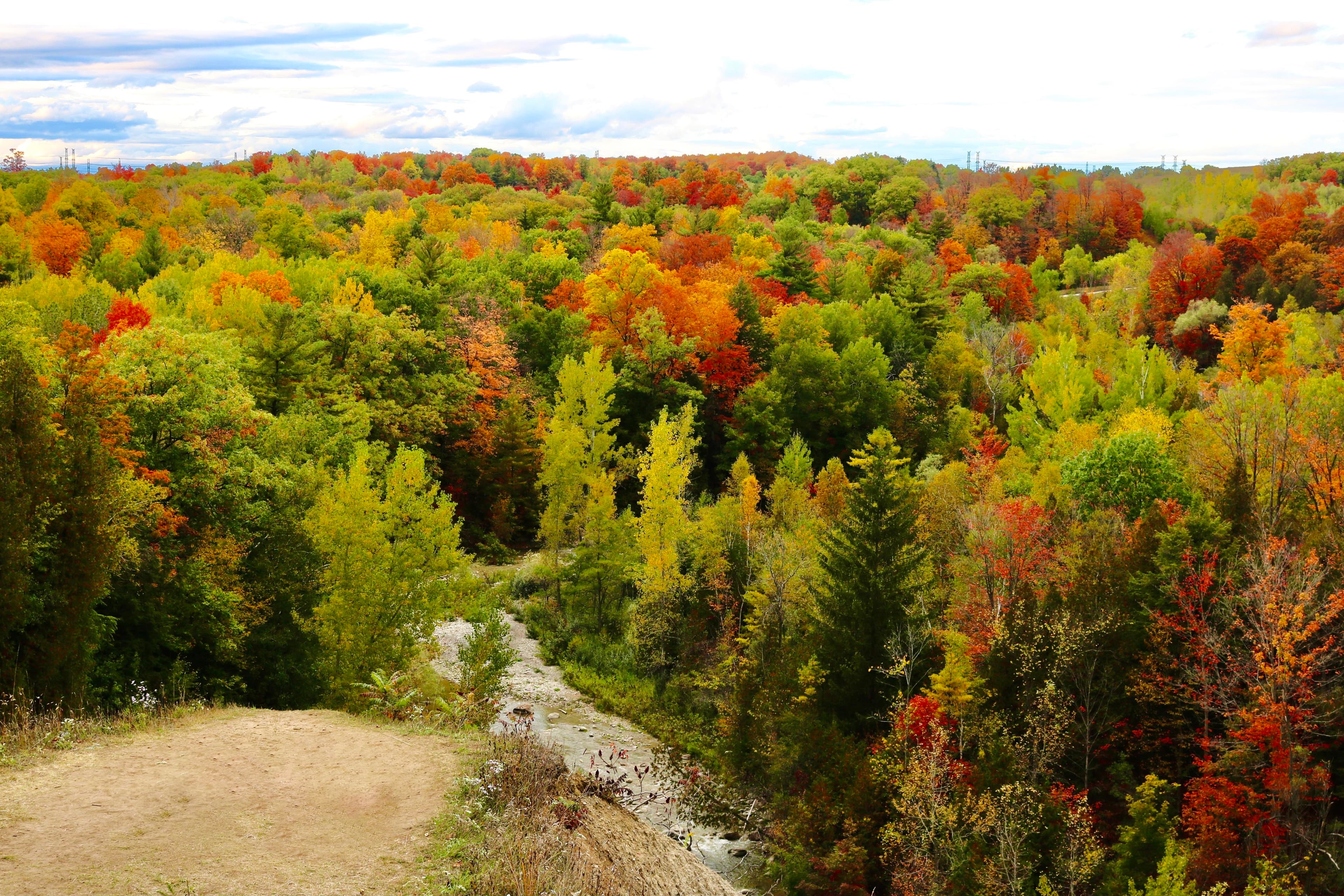Scenic fall lookout over Rouge National Urban Park
