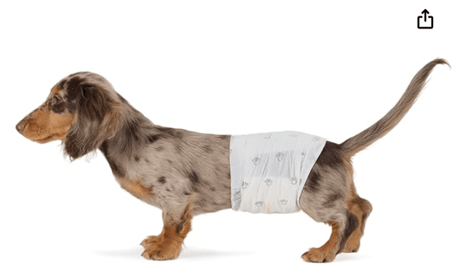 Amazon Basics Male Dog Diapers