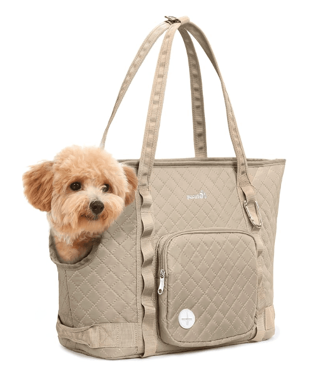 Pecute Cat Carrier Purse