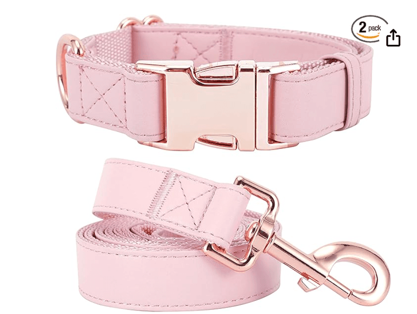 MoTaity Dog Collar and Leash Set