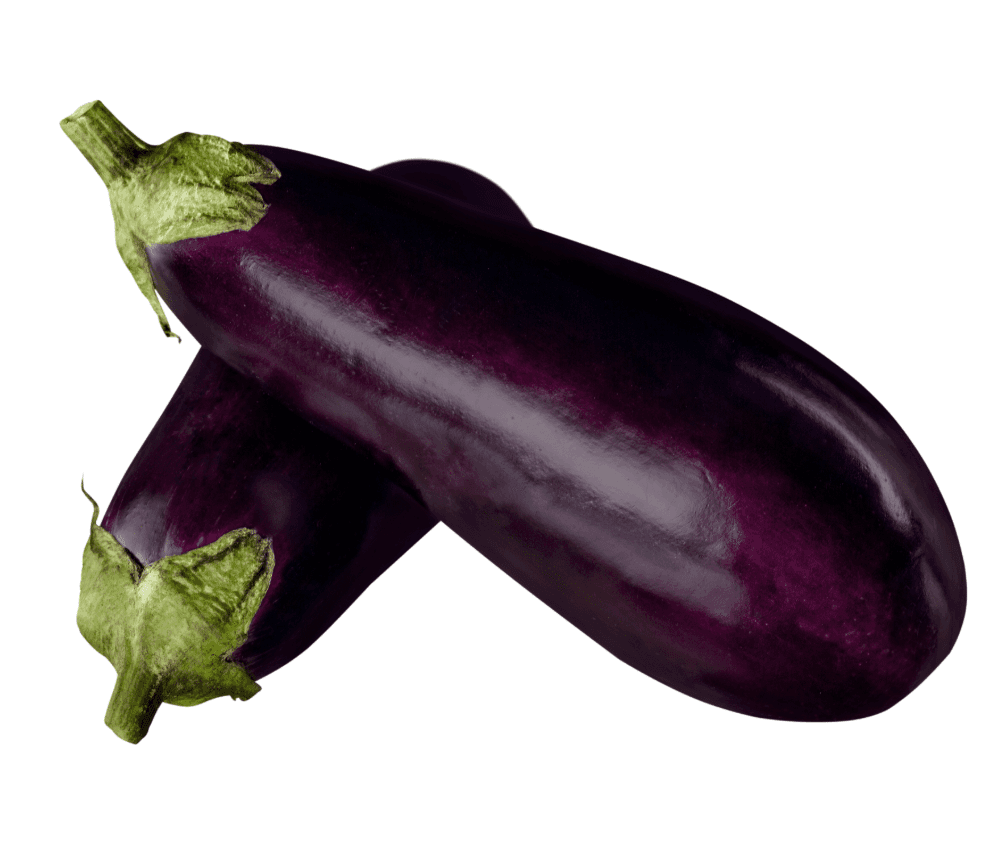 Eggplant