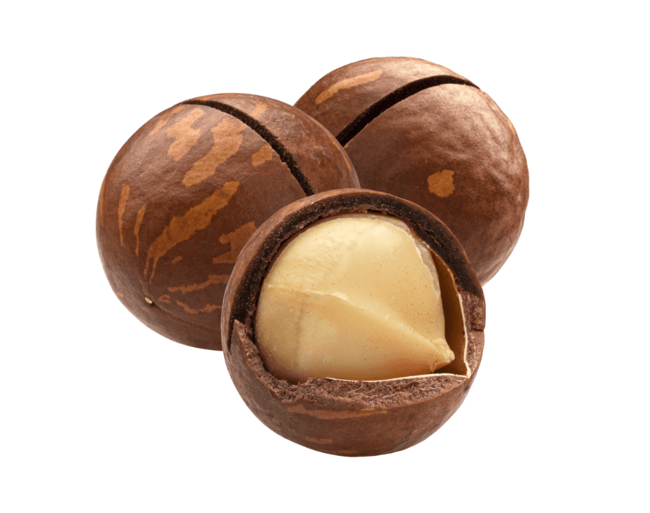 Macadamia Nuts