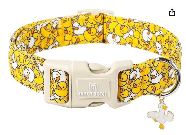Maca Bates Yellow Duck Collar