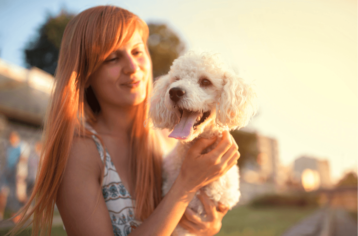 Puppy learning toilet training
