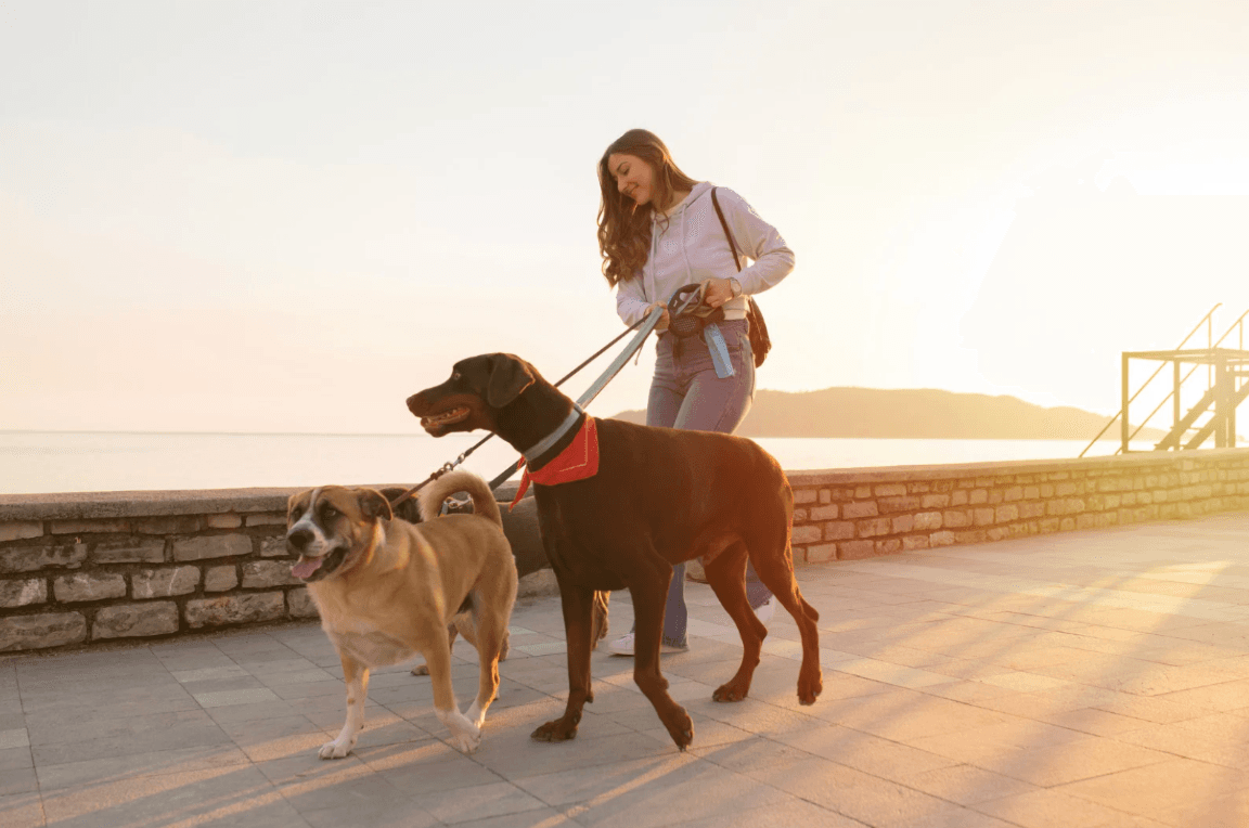 Calm puppy showing emotional connection