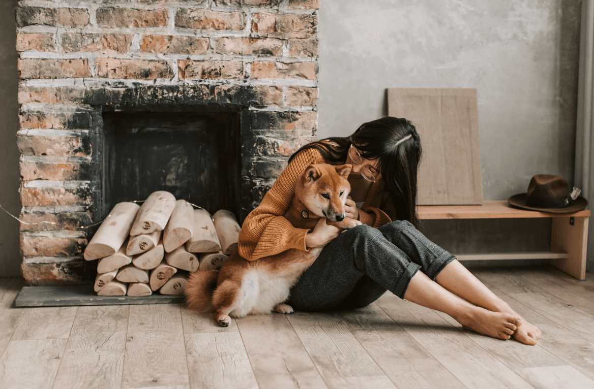 Adolescent puppy exploring