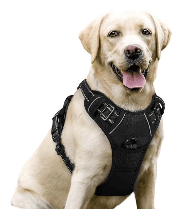 rabbitgoo No-Pull Dog Harness Adjustable Padded Vest