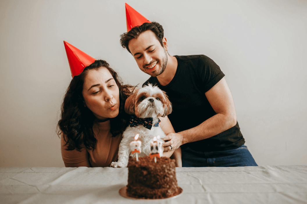 Dog celebrating first birthday with cake