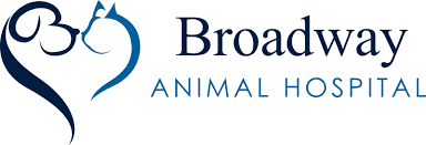 Broadview Veterinary Hospital